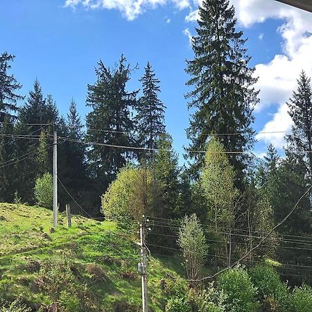 Садиба "Яна" Slavske Esterno foto